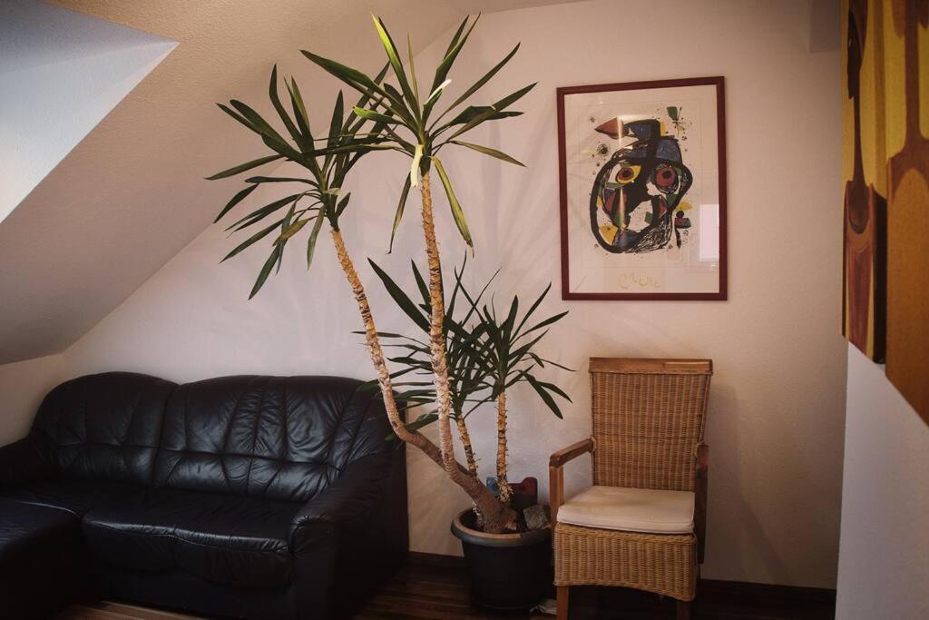 Tolle Wohnung In Zentraler Lage In نوي أولم المظهر الخارجي الصورة